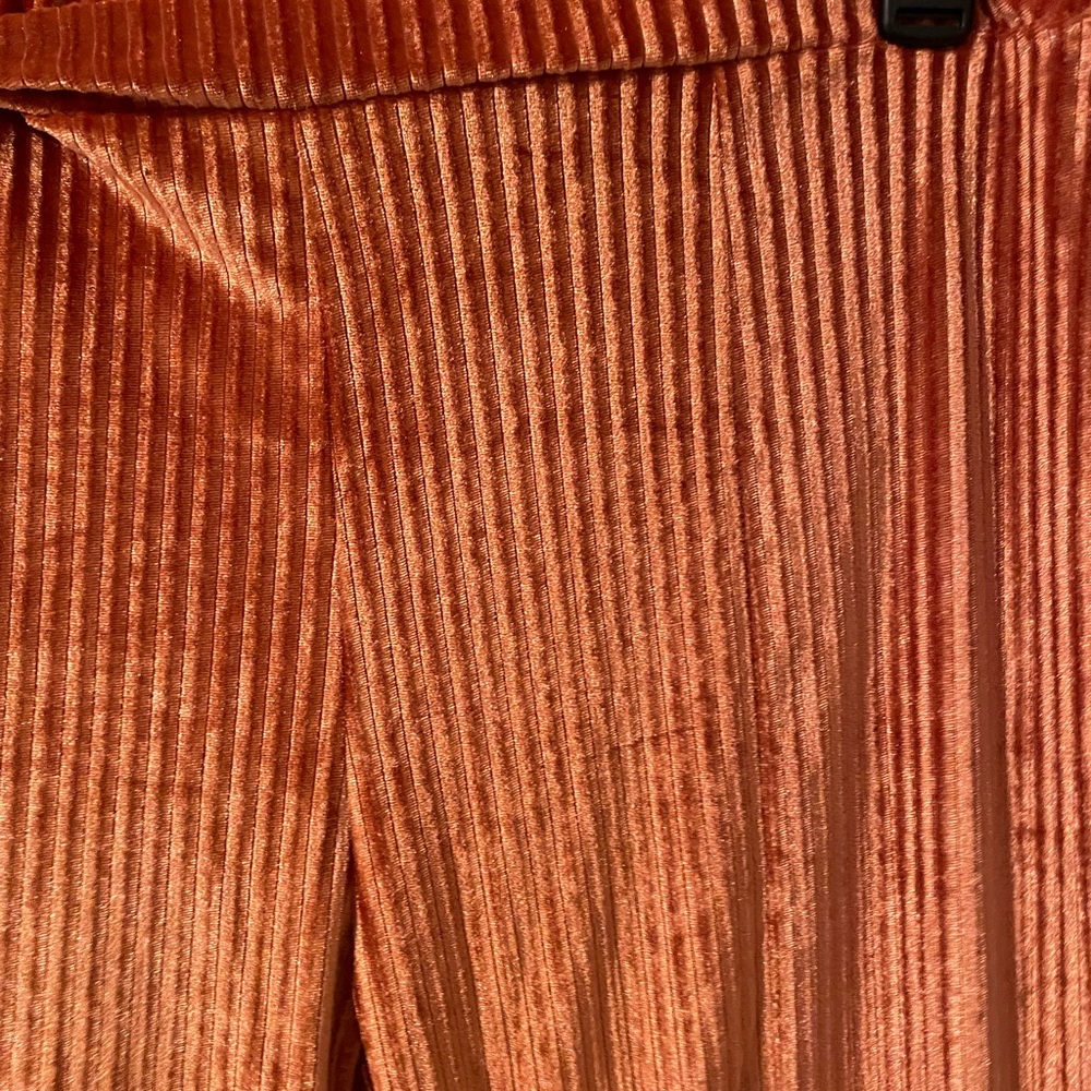 Rust Velvet Pleated Pants